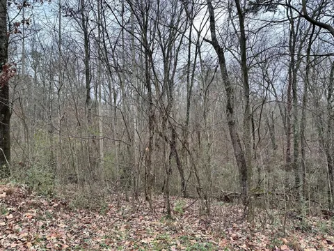 310 Brumlow Hollow Road