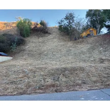 Elvira Road