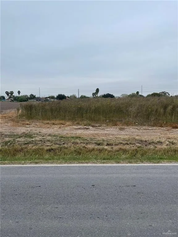 TBD Gonzalez Road Progreso, TX 78579