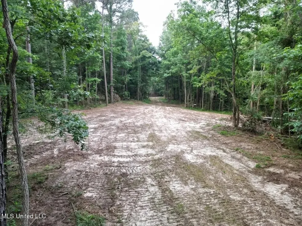 4 Old Hamburg Roxie Road Roxie, MS 39661