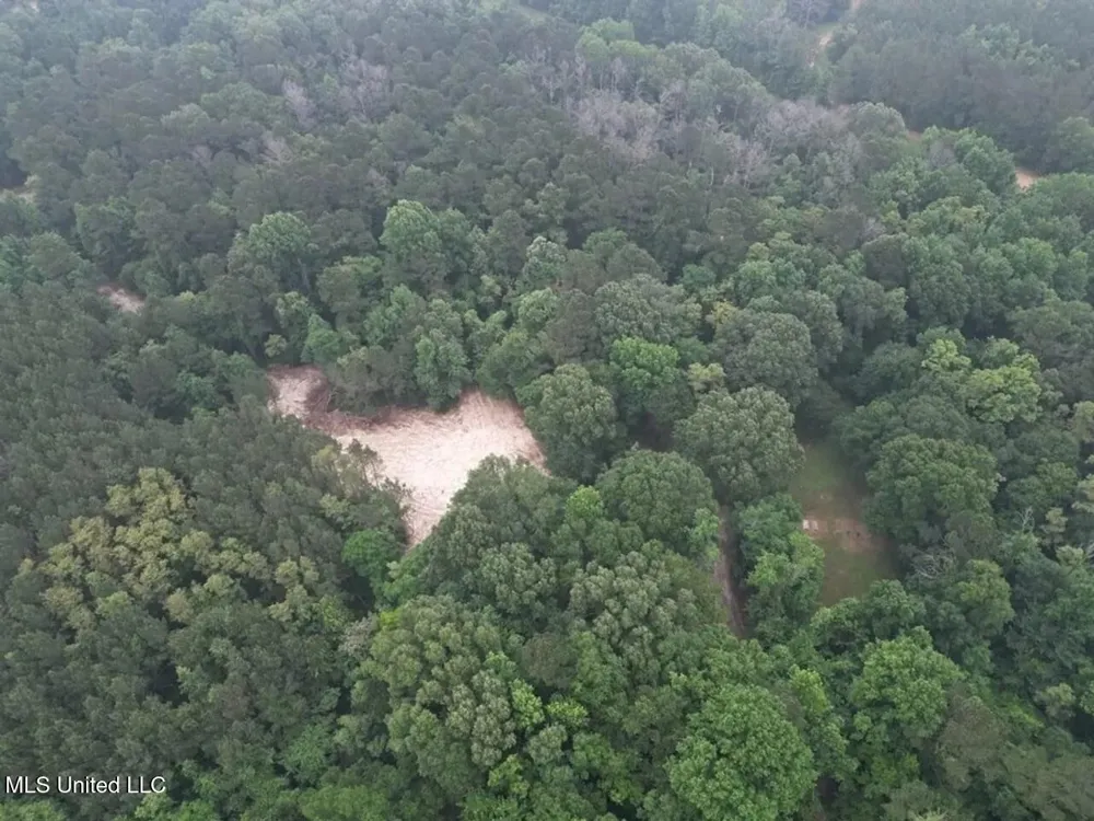 4 Old Hamburg Roxie Road Roxie, MS 39661