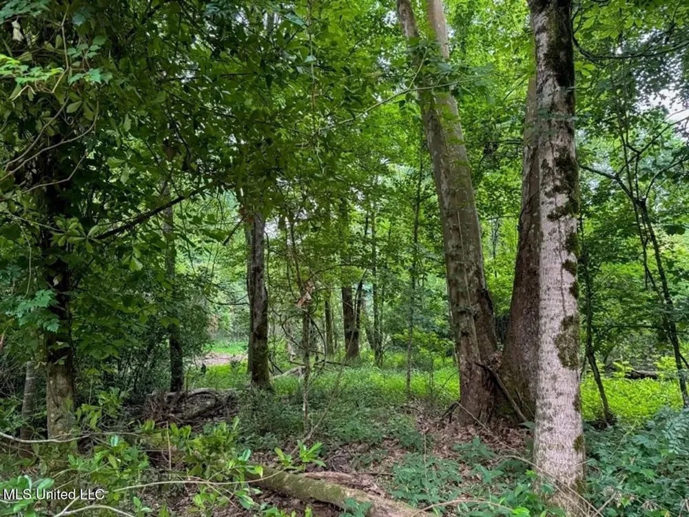 4 Old Hamburg Roxie Road Roxie, MS 39661