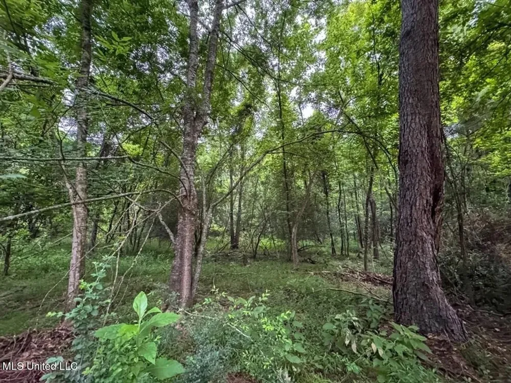 4 Old Hamburg Roxie Road Roxie, MS 39661
