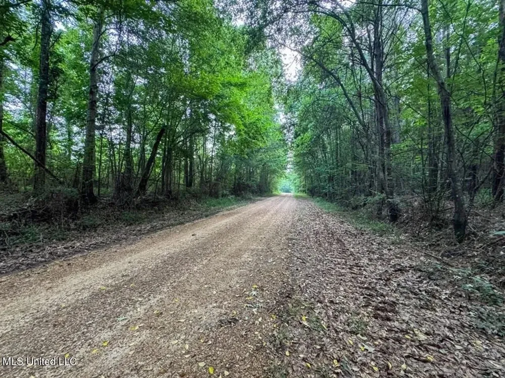 4 Old Hamburg Roxie Road Roxie, MS 39661