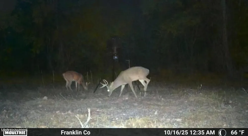 4 Old Hamburg Roxie Road Roxie, MS 39661