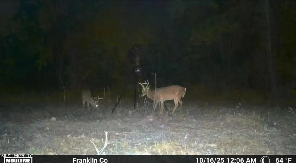 4 Old Hamburg Roxie Road Roxie, MS 39661