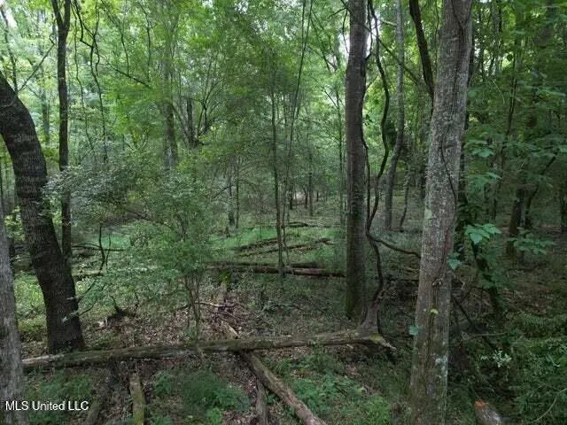 4 Old Hamburg Roxie Road Roxie, MS 39661