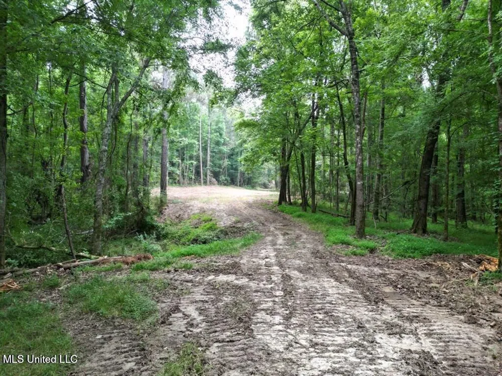 4 Old Hamburg Roxie Road Roxie, MS 39661