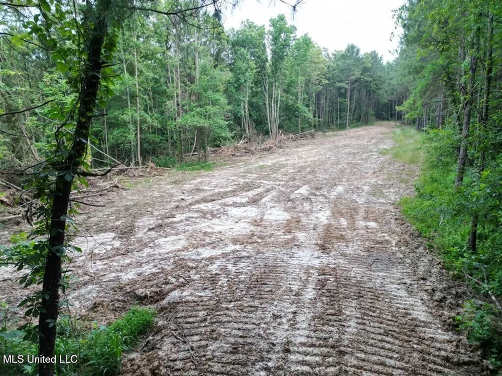 4 Old Hamburg Roxie Road Roxie, MS 39661