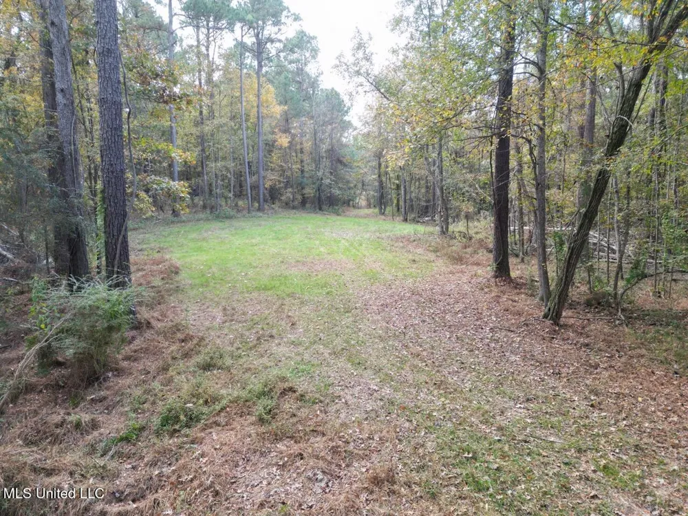 4 Old Hamburg Roxie Road Roxie, MS 39661