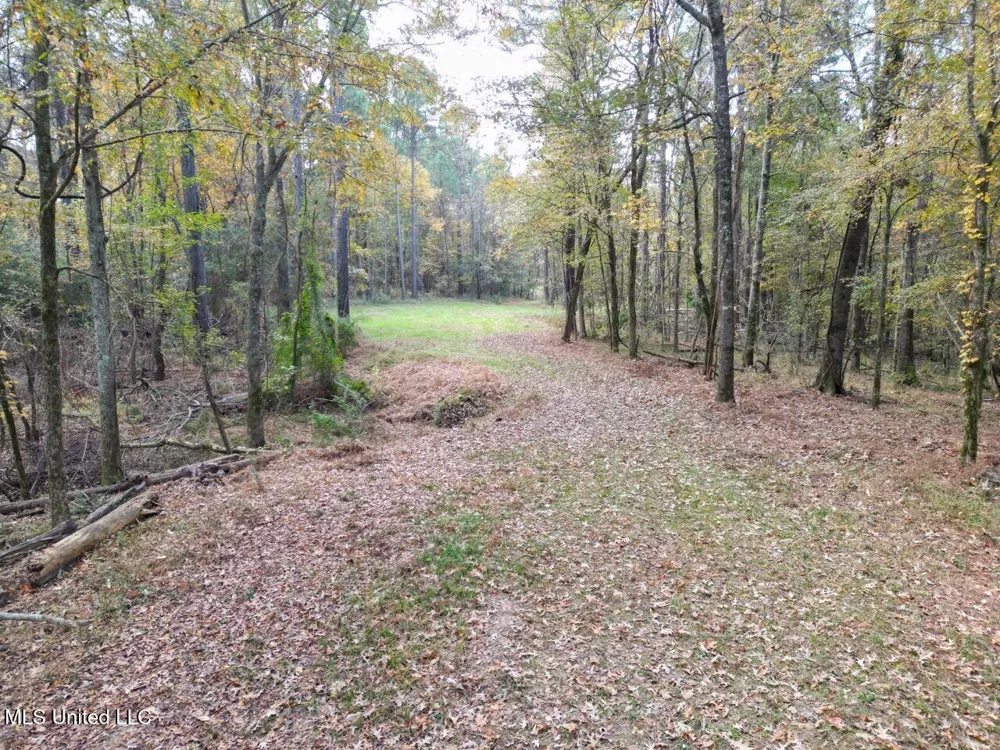 4 Old Hamburg Roxie Road Roxie, MS 39661