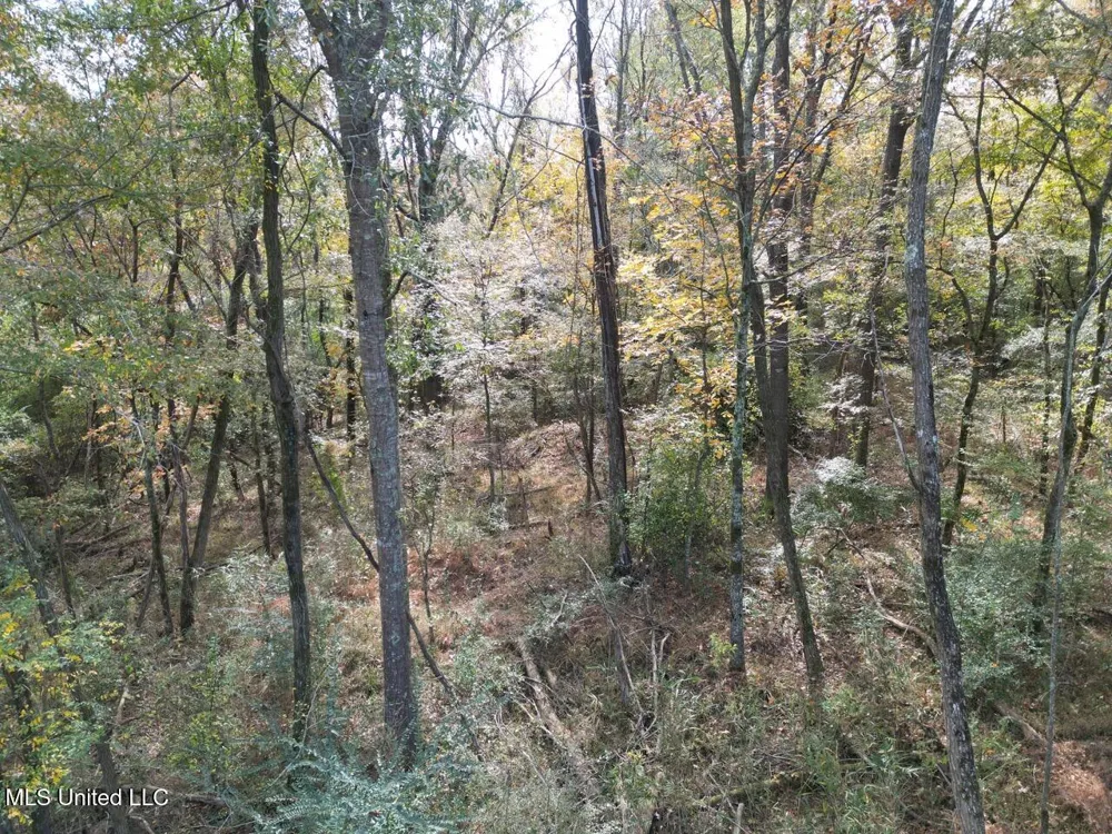 4 Old Hamburg Roxie Road Roxie, MS 39661