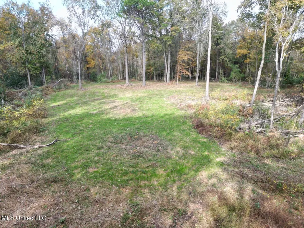 4 Old Hamburg Roxie Road Roxie, MS 39661