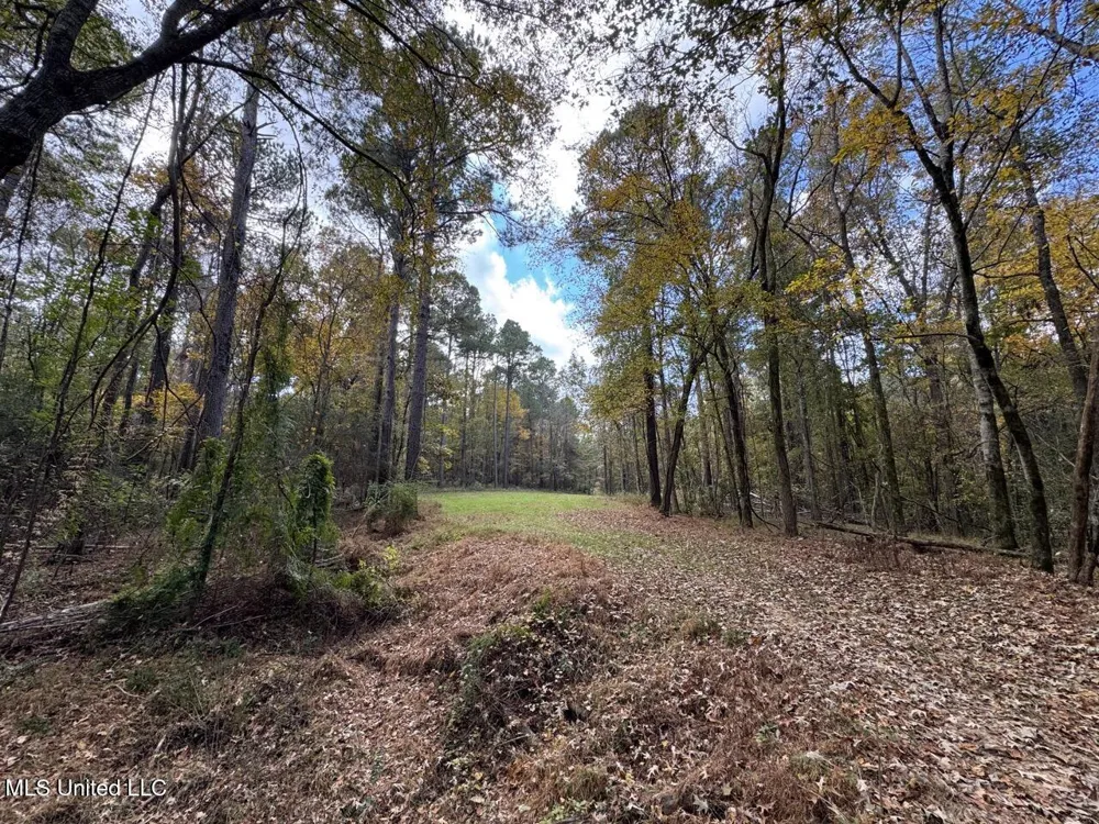 4 Old Hamburg Roxie Road Roxie, MS 39661