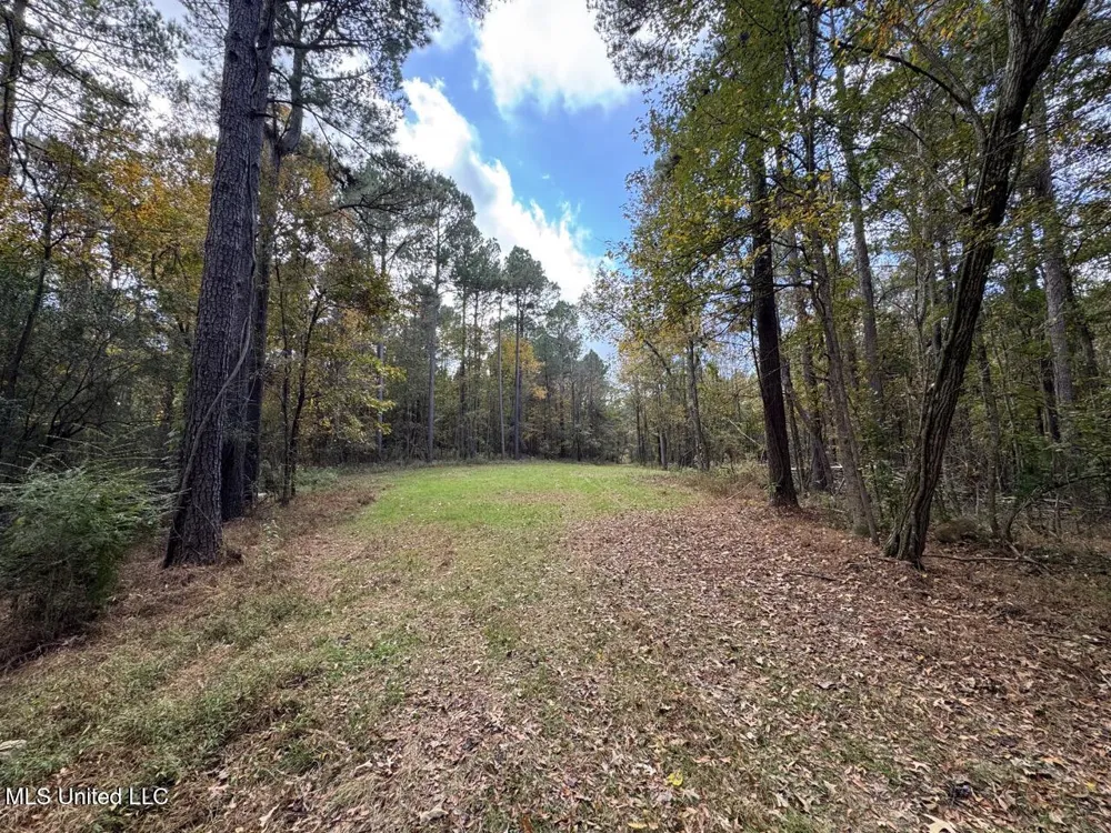 4 Old Hamburg Roxie Road Roxie, MS 39661