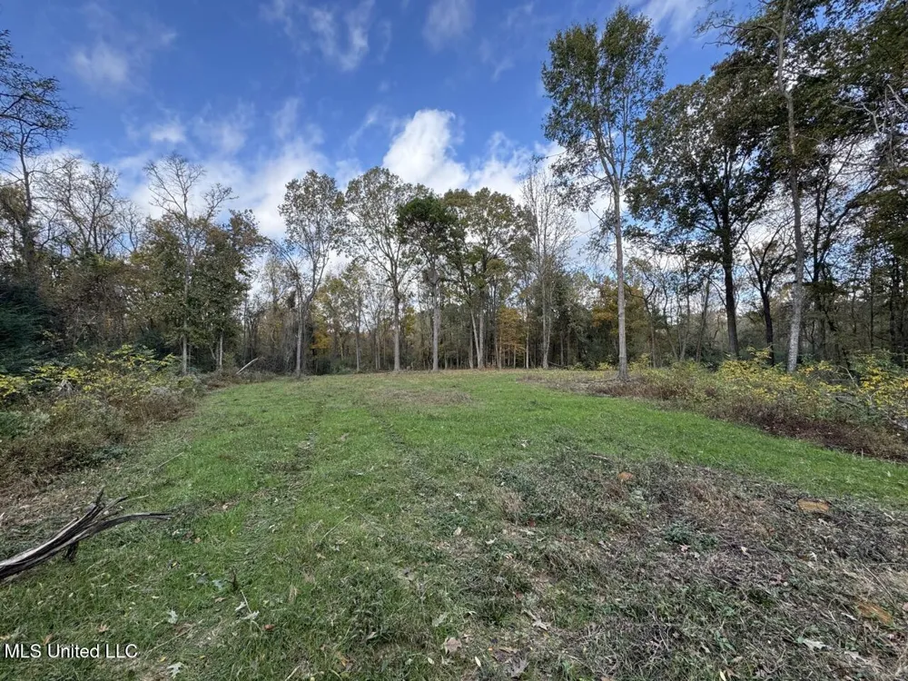 4 Old Hamburg Roxie Road Roxie, MS 39661
