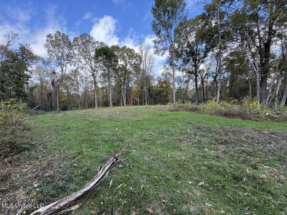 4 Old Hamburg Roxie Road Roxie, MS 39661