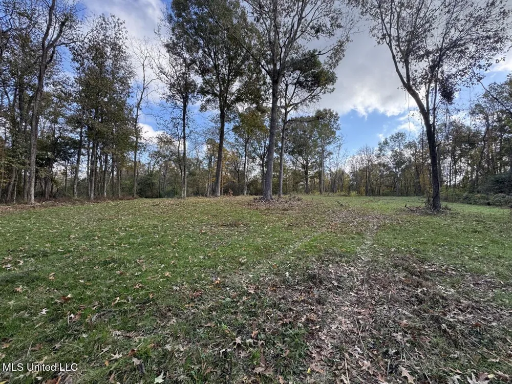 4 Old Hamburg Roxie Road Roxie, MS 39661