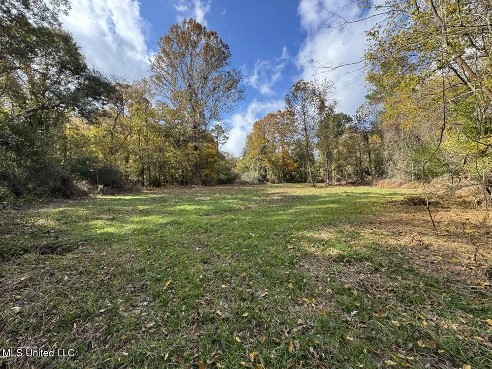 4 Old Hamburg Roxie Road Roxie, MS 39661