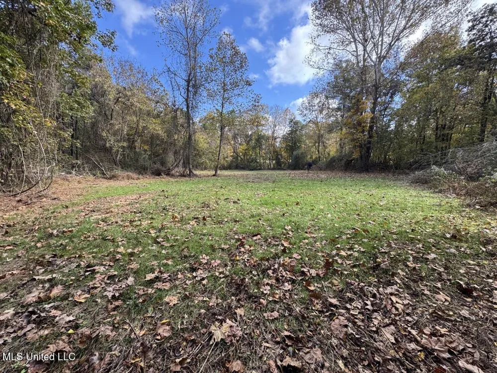 4 Old Hamburg Roxie Road Roxie, MS 39661