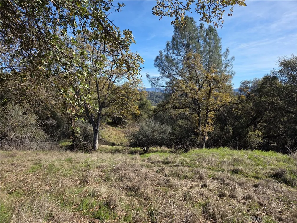 12.19 AC Road 222 North Fork, CA 93643