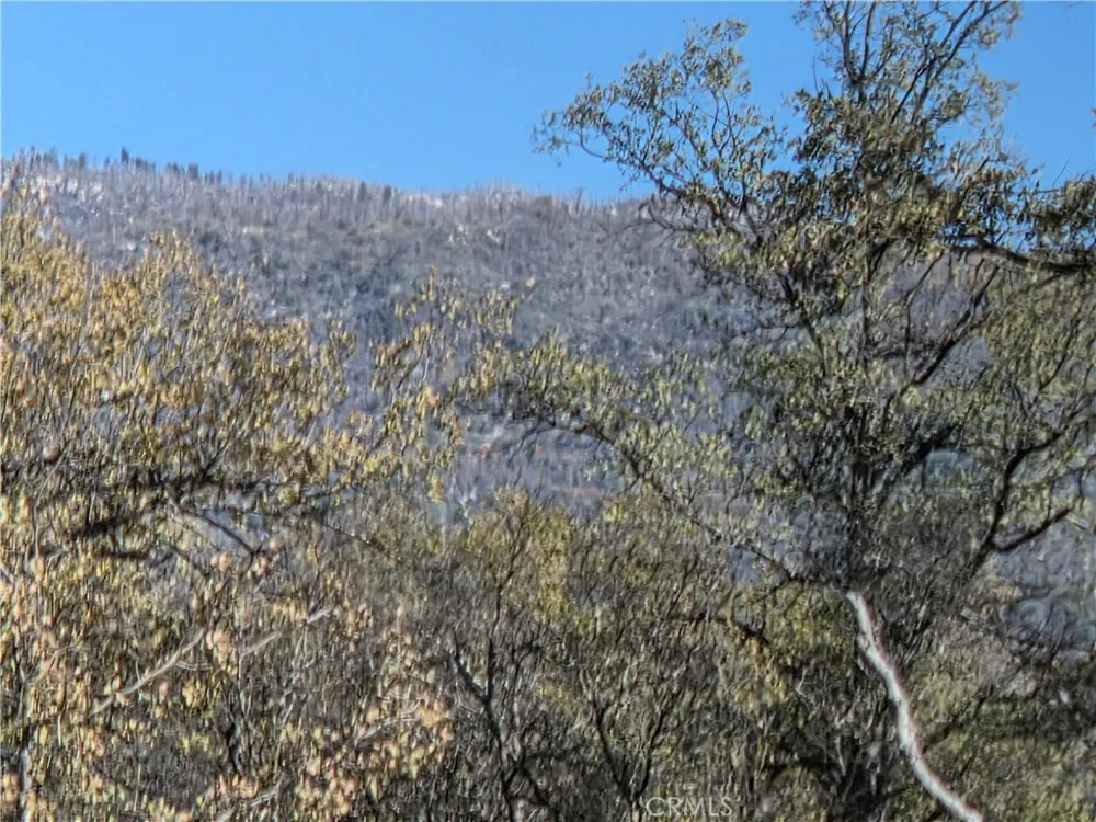 12.19 AC Road 222 North Fork, CA 93643