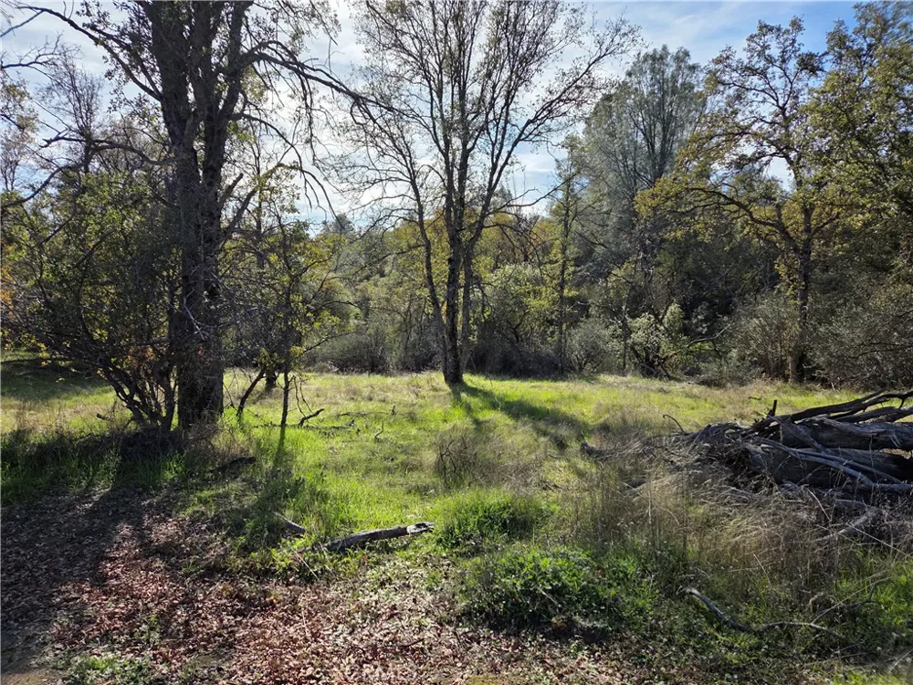 12.19 AC Road 222 North Fork, CA 93643