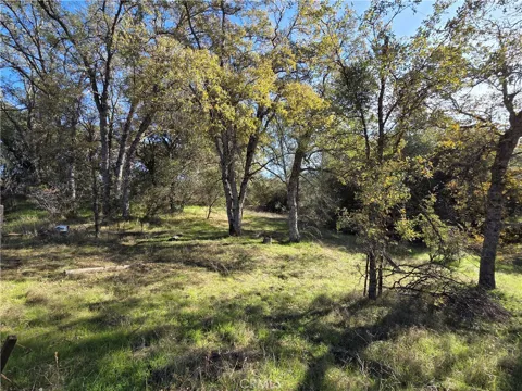 12.19 AC Road 222