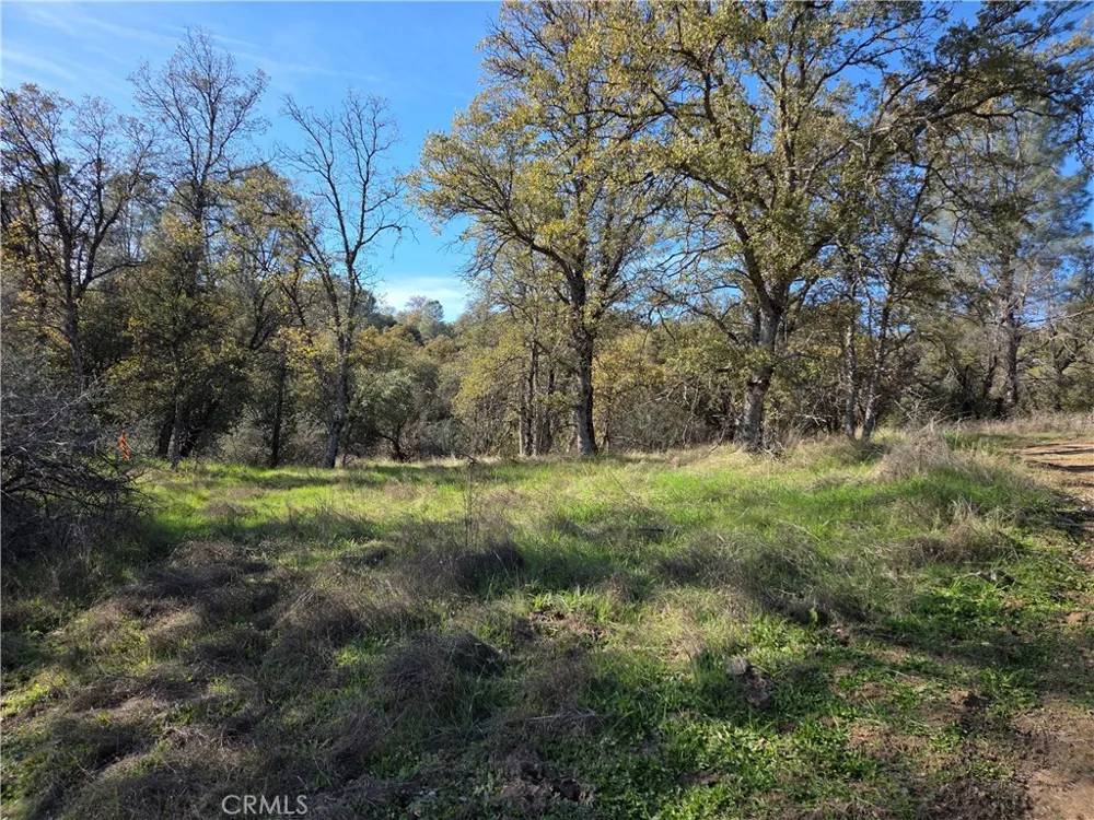 12.19 AC Road 222 North Fork, CA 93643