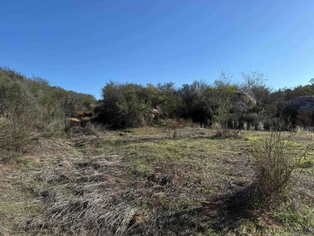 12494 Buena Vida Rd Lakeside, CA 92040