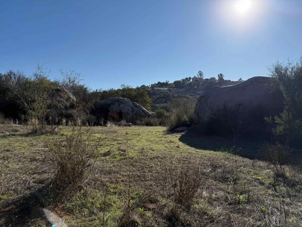 12494 Buena Vida Rd Lakeside, CA 92040