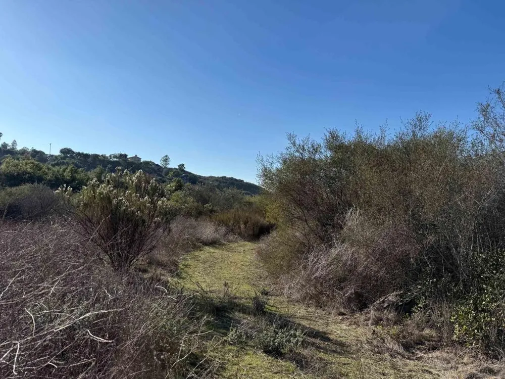 12494 Buena Vida Rd Lakeside, CA 92040