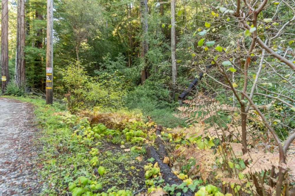 4 Old Mill Avenue Felton, CA 95018