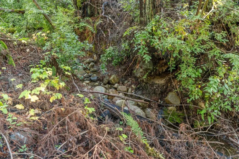 4 Old Mill Avenue Felton, CA 95018