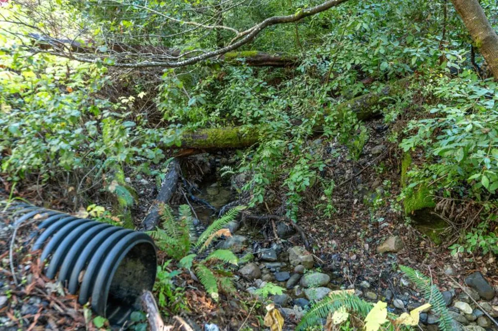 4 Old Mill Avenue Felton, CA 95018