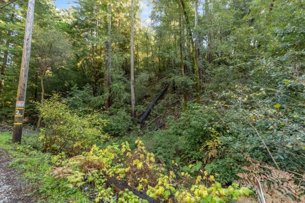 4 Old Mill Avenue Felton, CA 95018
