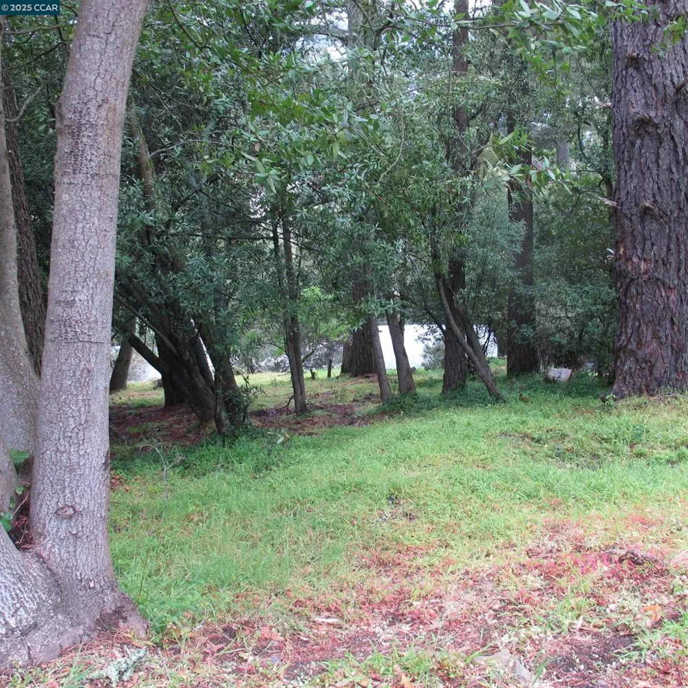 6044 Skyline Blvd Oakland, CA 94611