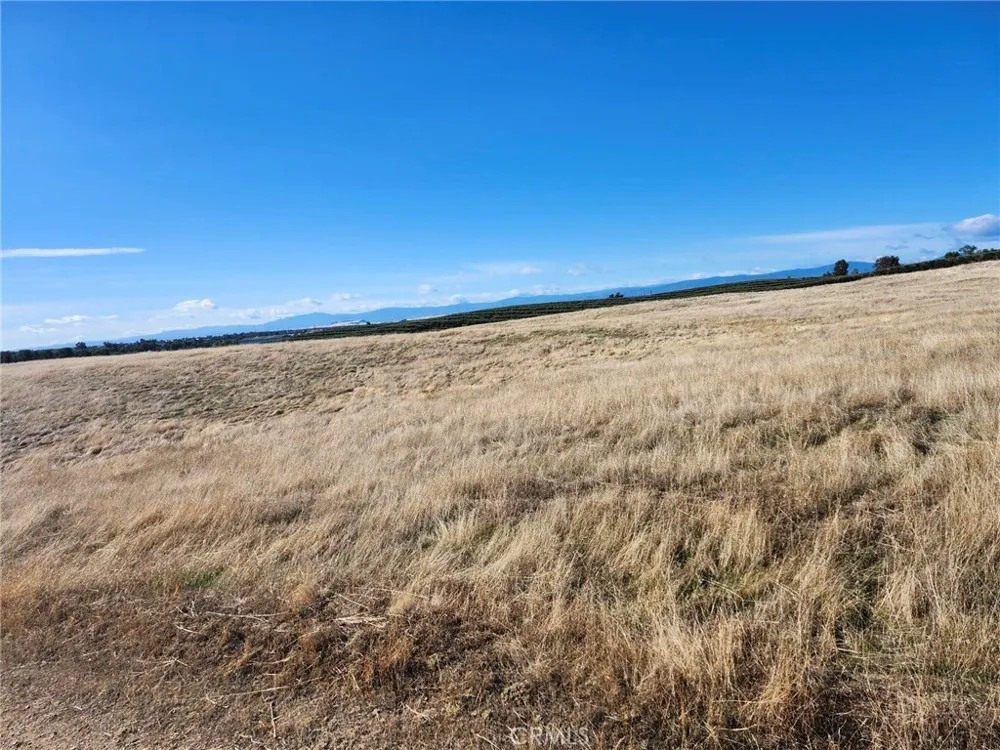 087-250-008-000 Corning, CA 96021