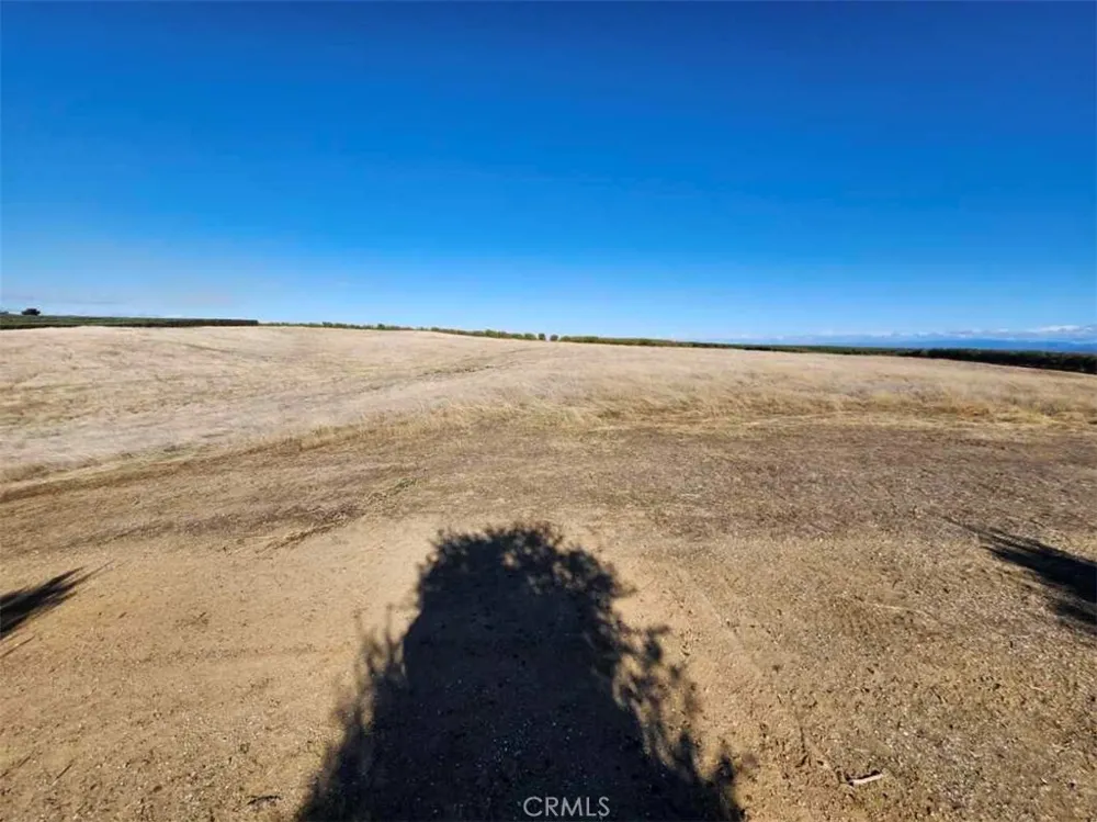 087-250-008-000 Corning, CA 96021