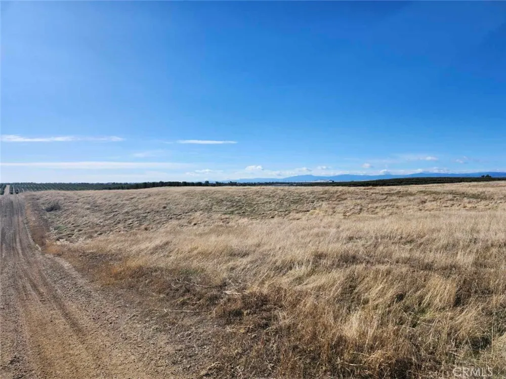 087-250-008-000 Corning, CA 96021
