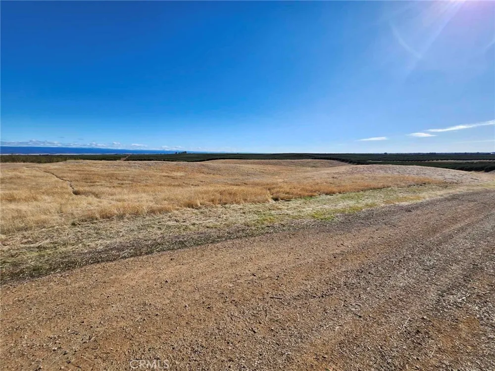 087-250-008-000 Corning, CA 96021