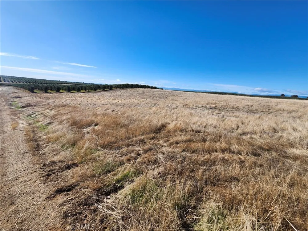 087-250-008-000 Corning, CA 96021