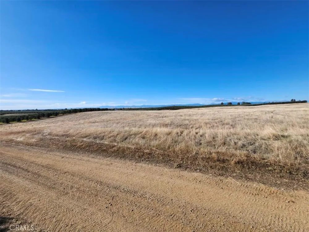 087-250-008-000 Corning, CA 96021