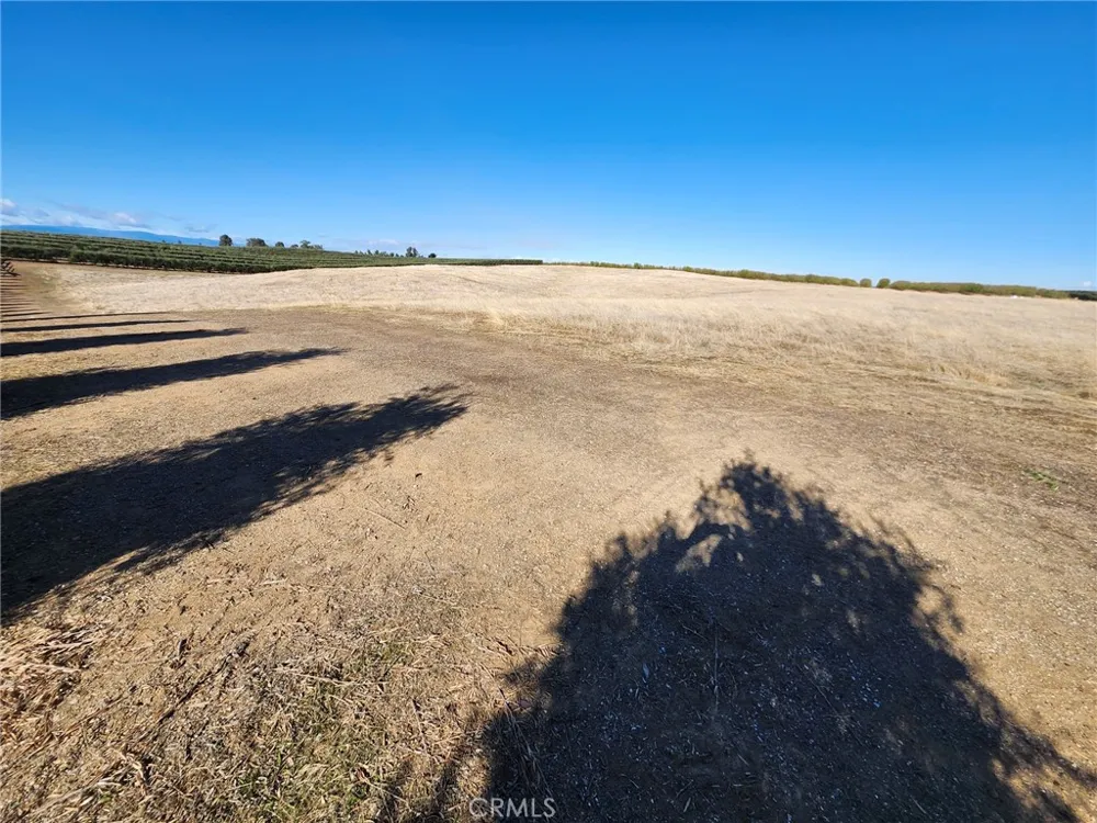 087-250-008-000 Corning, CA 96021