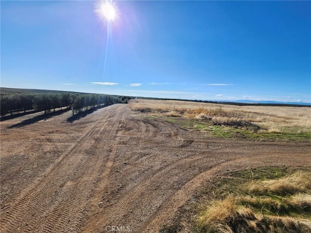 087-250-008-000 Corning, CA 96021