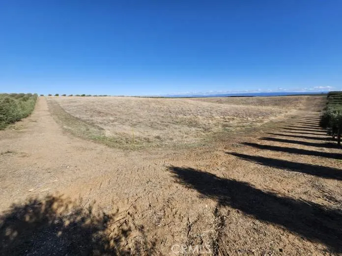 087-250-008-000 Corning, CA 96021