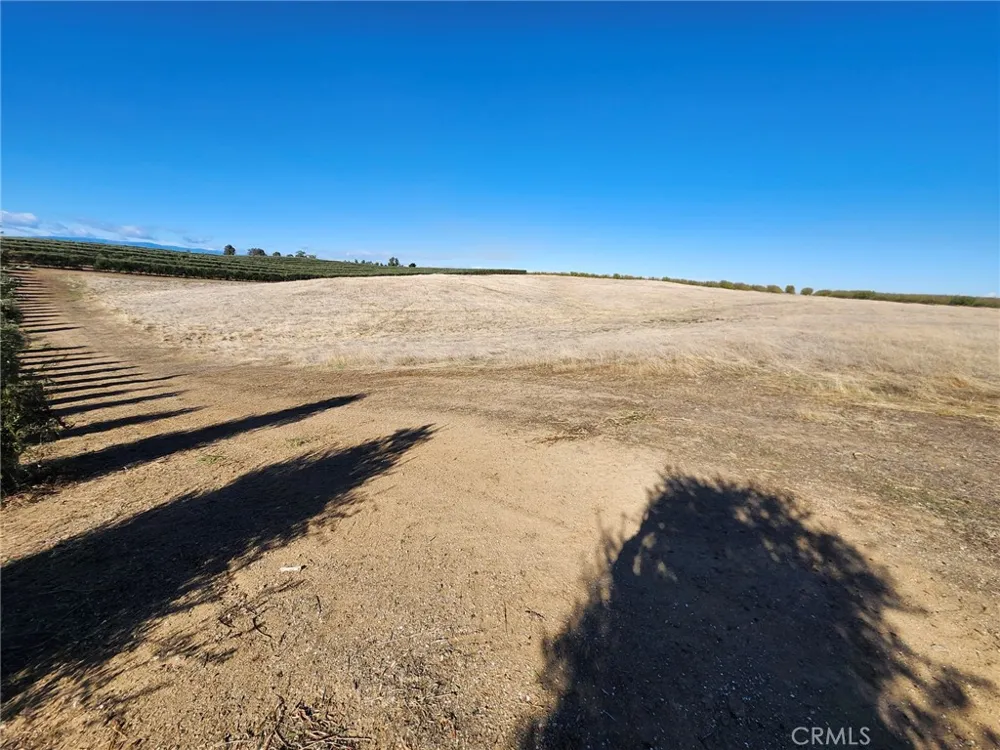087-250-008-000 Corning, CA 96021