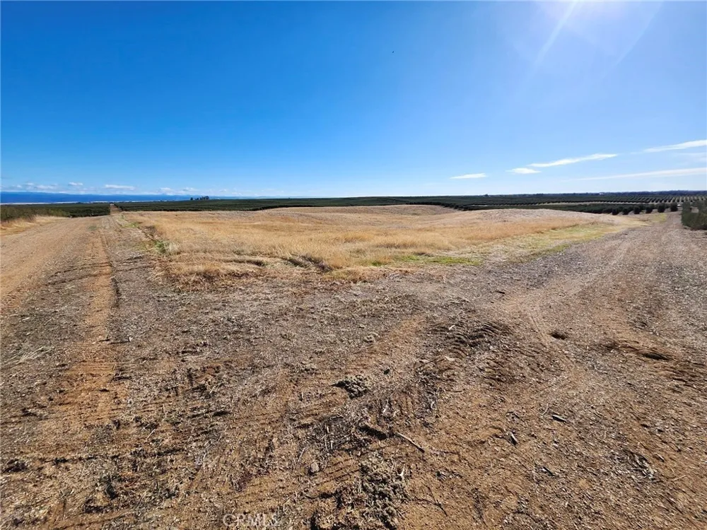 087-250-008-000 Corning, CA 96021