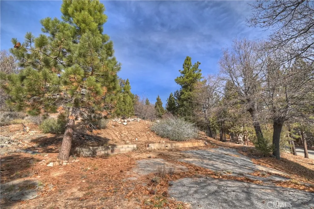 1115 Fawnskin Drive Fawnskin, CA 92333