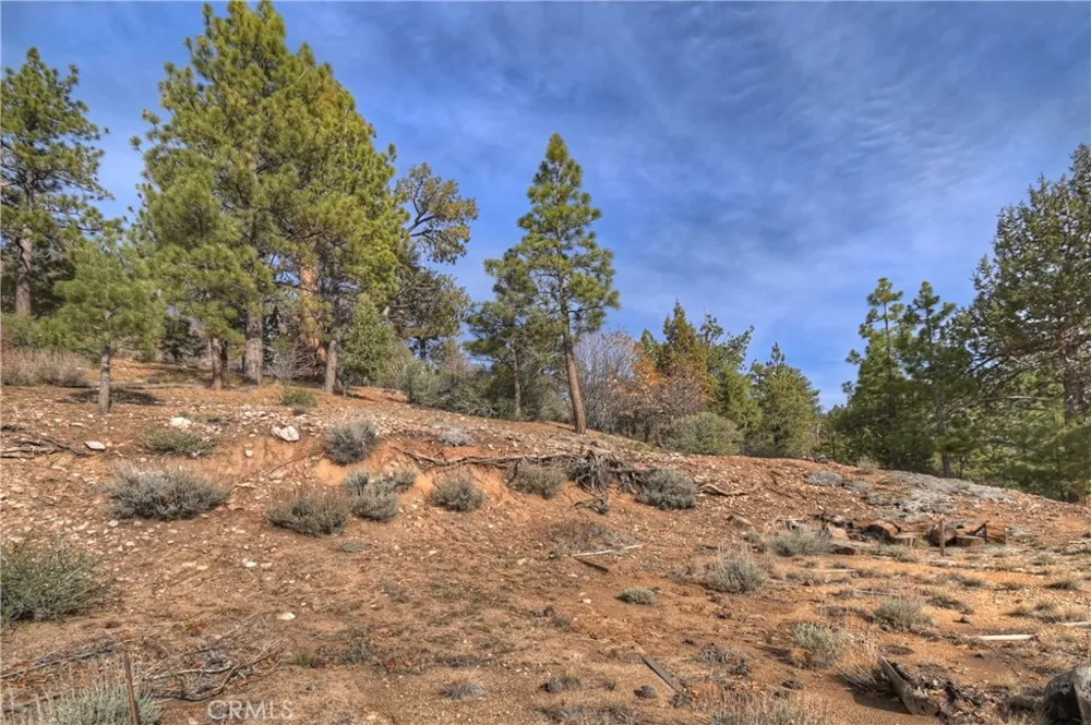 1115 Fawnskin Drive Fawnskin, CA 92333